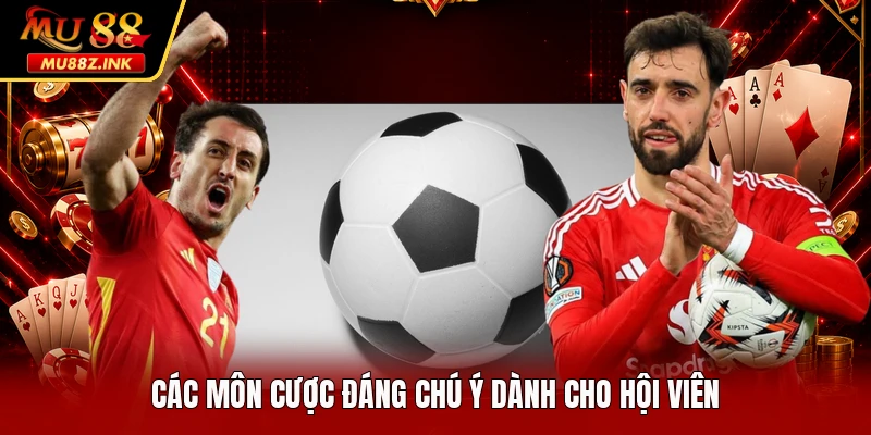 Các môn cược đáng chú ý dành cho hội viên