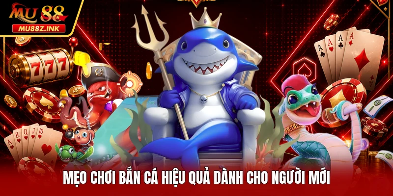 Mẹo chơi bắn cá hiệu quả dành cho người mới