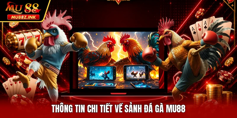 Thông tin chi tiết về sảnh đá gà MU88